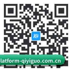 iOS 苹果版 二维码